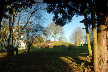 Warren Knoll December 2008